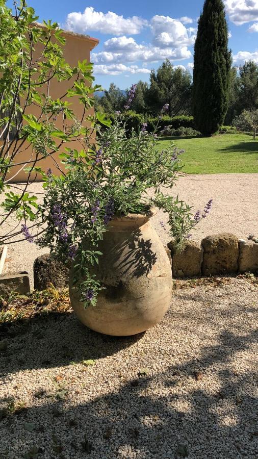 Le Mas Des Pignes -Adults Only Aix-en-Provence Esterno foto